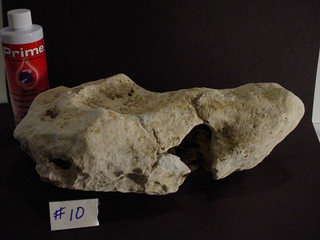 Rock 10 a.JPG