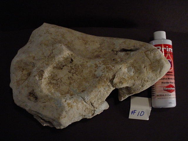 Rock 10 e.JPG