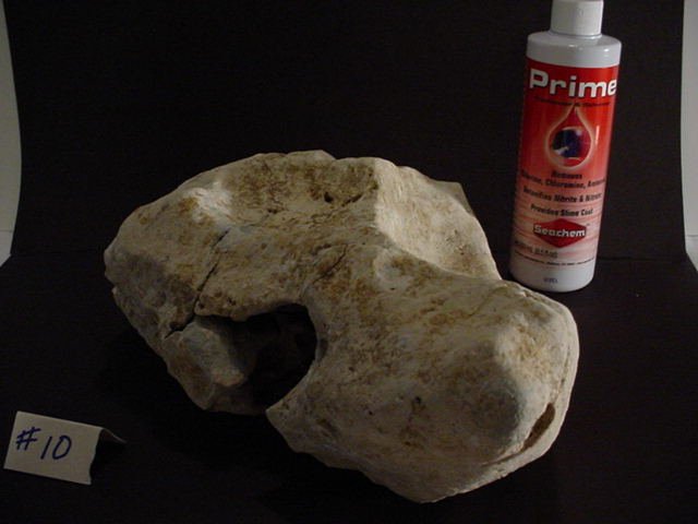 Rock 10 f.JPG