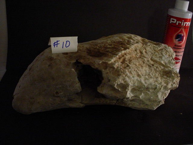 Rock 10 g.JPG