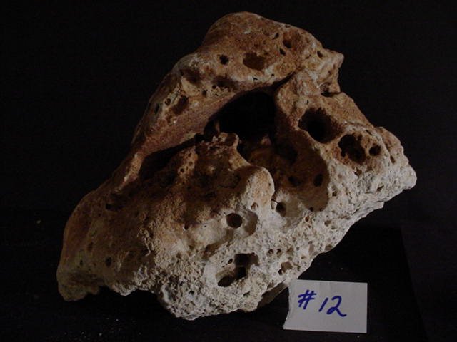 Rock 12.JPG