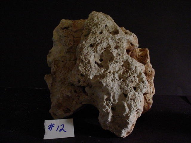 Rock 12 back with arch at bottom.JPG