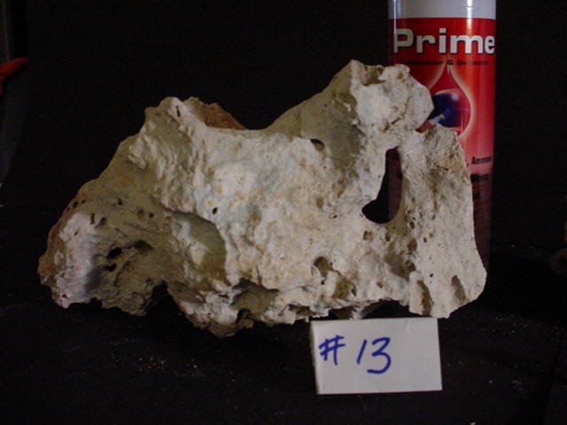 Rock 13 standing back.JPG