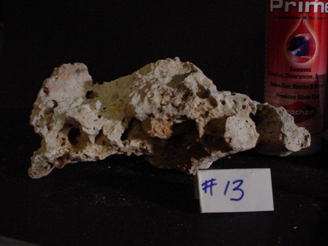 Rock 13 lying flat.JPG