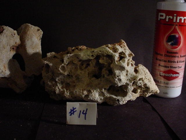 Rock 14.JPG