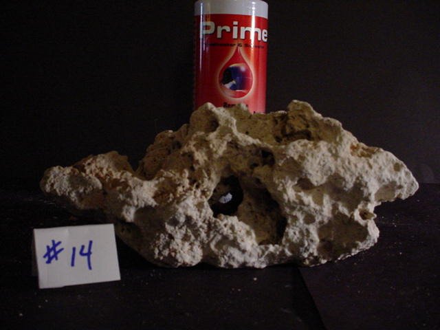 Rock 14 a.JPG