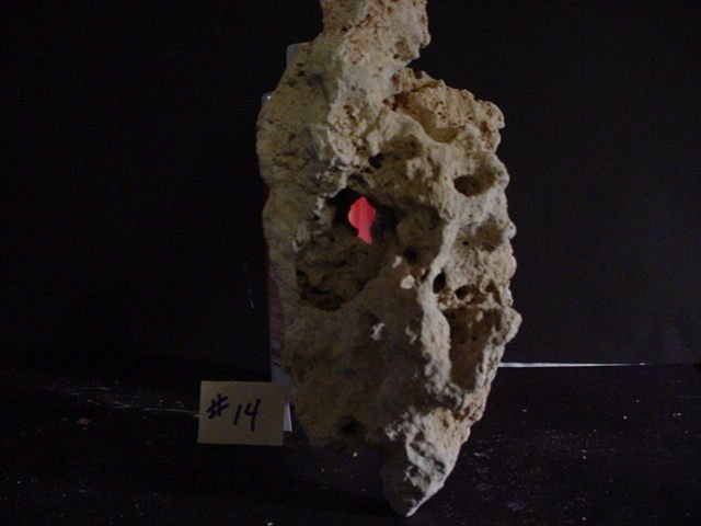 Rock 14 view holes.JPG