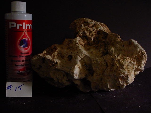 Rock 15 top.JPG