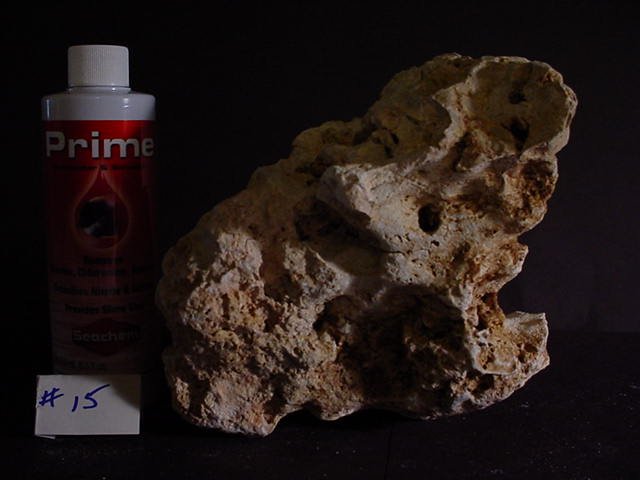 Rock 15 hollows underneath.JPG