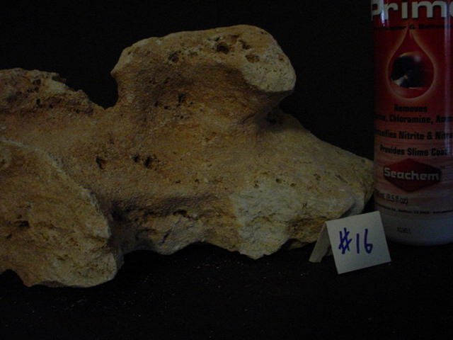 Rock 16 ledges.JPG