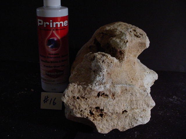Rock 16 side.JPG