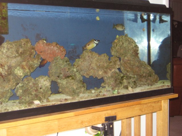 IMG_0038.JPG