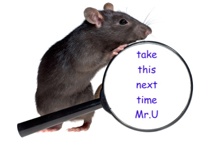 iStock_000004675142XSmall-1.jpg