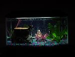 tank (2).jpg