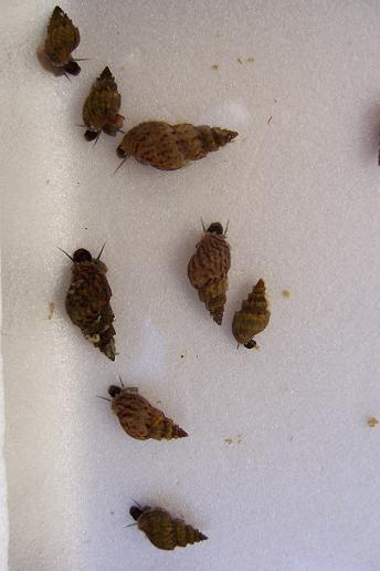 100_4707.JPG
