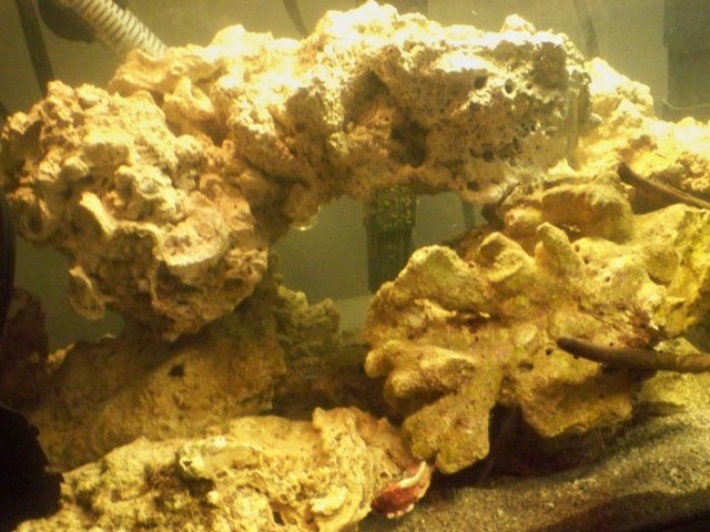 100_1445.jpg
