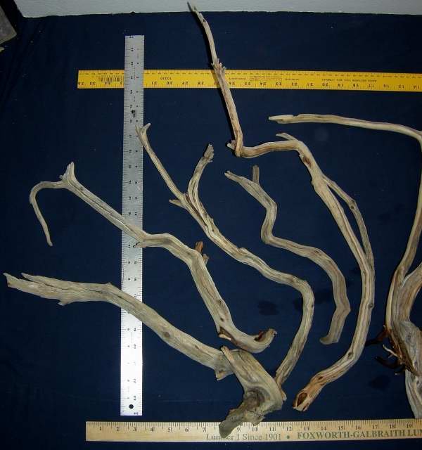 MED PKG 106 LFT0001.JPG