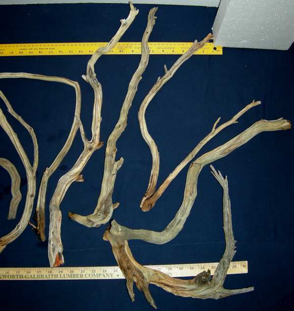 MED PKG 106 RHT0001.JPG