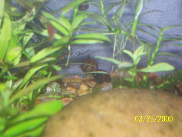 000_2373.jpg
