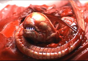 chestburster.jpg