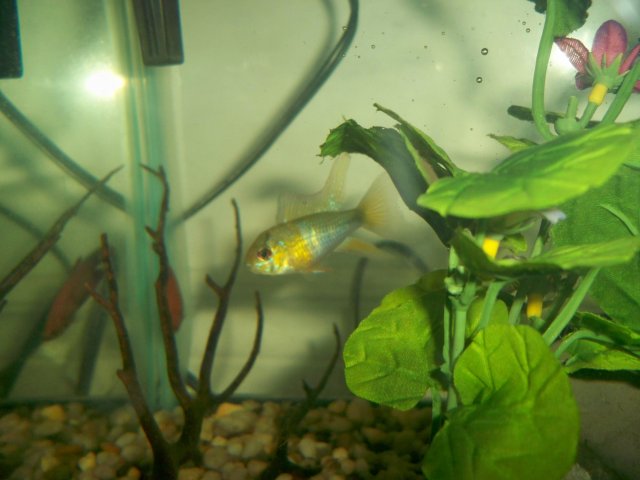 100_1140.jpg
