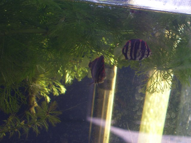 100_2008.JPG