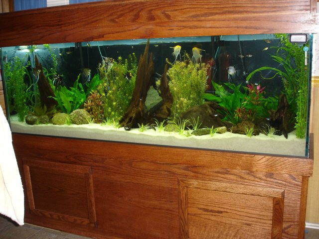 alax 2 009.JPG