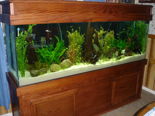 alax 2 010.JPG