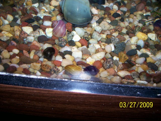 000_2376.jpg
