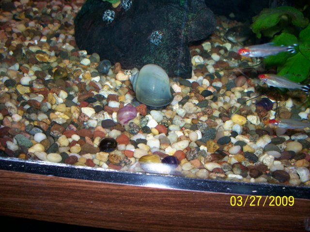000_2377.jpg