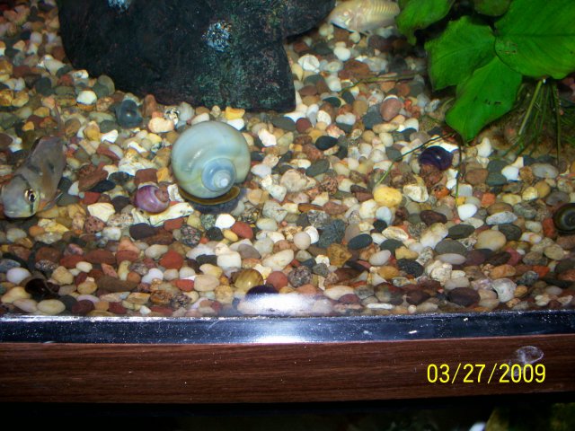 000_2383.jpg