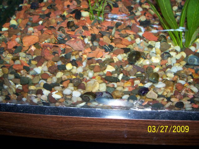 000_2384.jpg