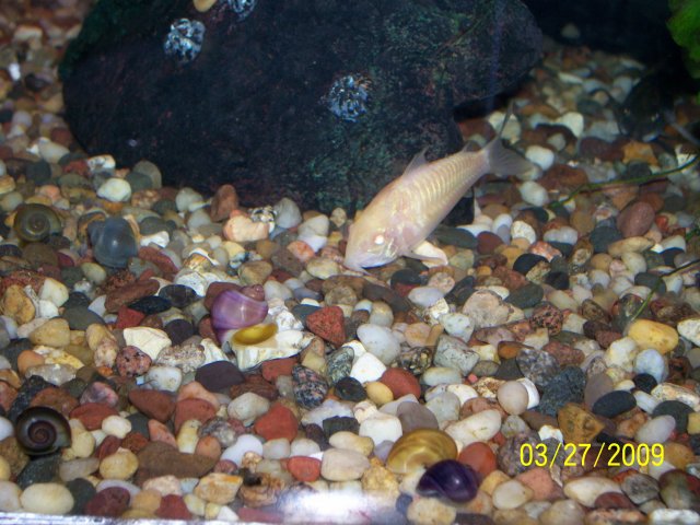 000_2386.jpg