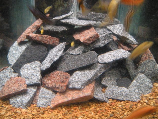 DSCN1717.JPG