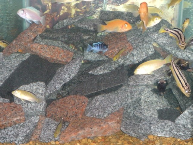 DSCN1757.JPG