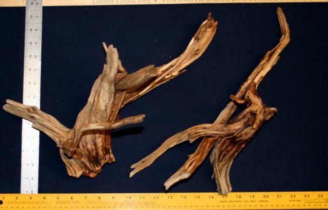 NANO STUMP PKG 6 DRY0001.JPG
