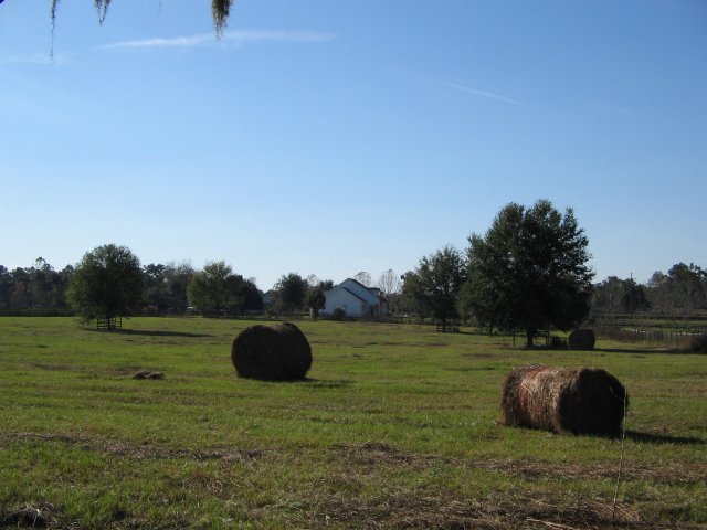 2005-11-25 ocala (21).jpg