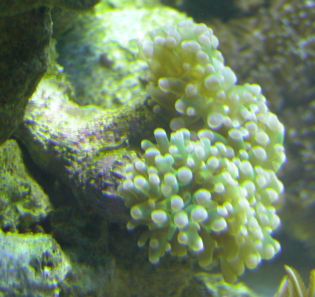 005-c-sm.jpg