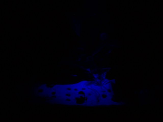 100_0392.JPG