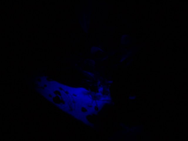 100_0395.JPG