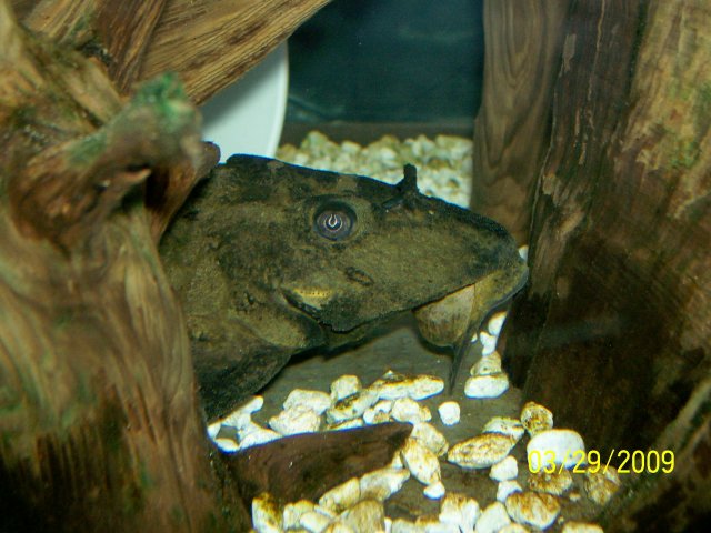 000_2408.jpg