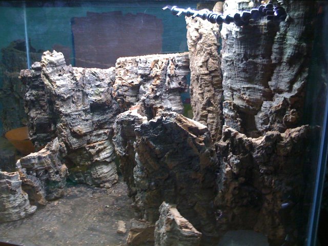 IMG_0685.JPG IMG_0685.JPG