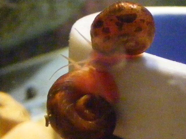 03-30-2009 035.jpg