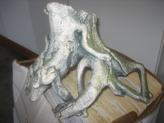 tree trunk.jpg