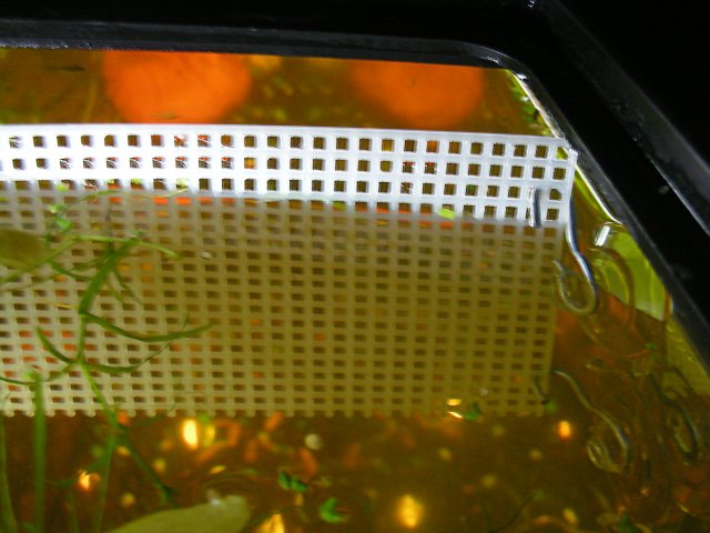 Divider side view.JPG