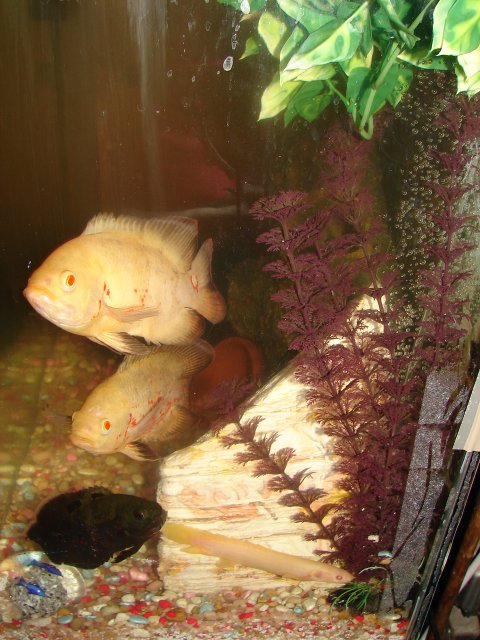 DSC07649.JPG