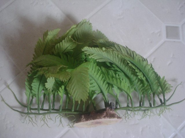 Plants 009.jpg