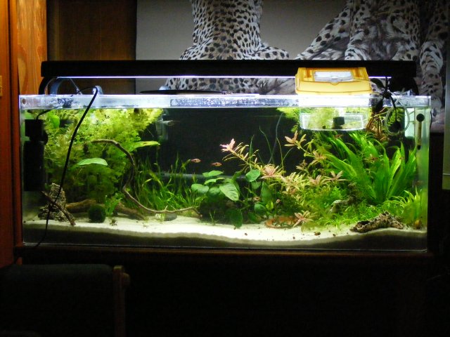 4-3-09 669.JPG