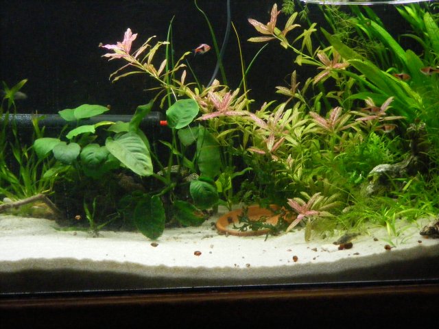 4-3-09 673.JPG