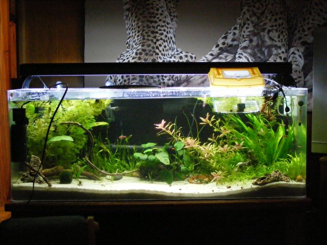 4-3-09 670.JPG 4-3-09 670.JPG